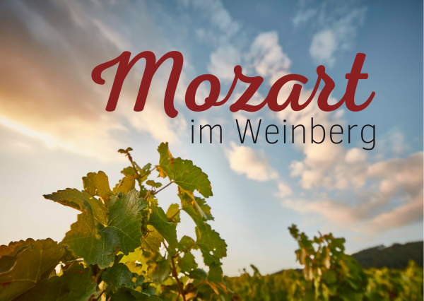 Konzert "Mozart im Weinberg", 3. Mai 2026, 14-15.30 Uhr (inkl. Sitzplatz, Sitzkissen & Picknicktüte)