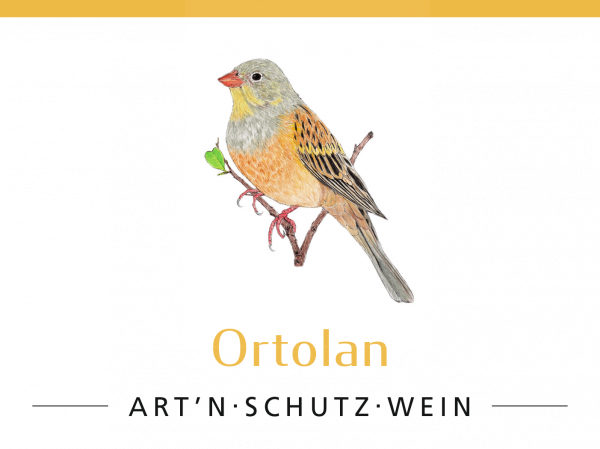 329 | 2023 Ortolan ART'N SCHUTZ WEIN trocken