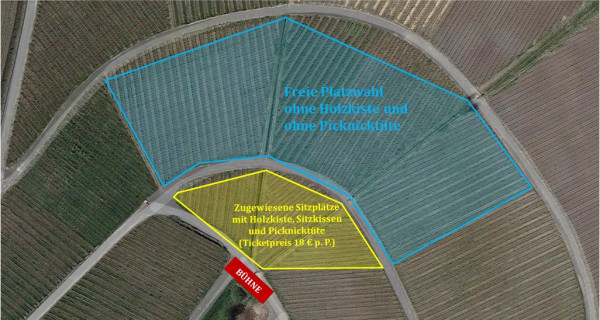 Konzert "Mozart im Weinberg", 3. Mai 2026, 14-15.30 Uhr (inkl. Sitzplatz, Sitzkissen & Picknicktüte)