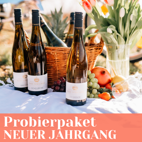 12er-Paket: Der neue Jahrgang